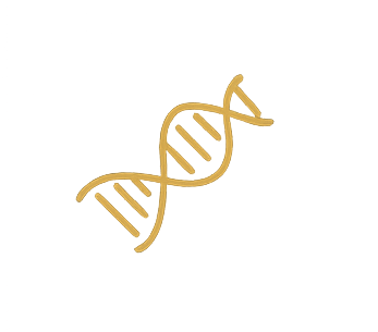 Set of four gold icons on a white background